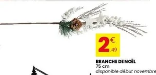 Branche de Noël