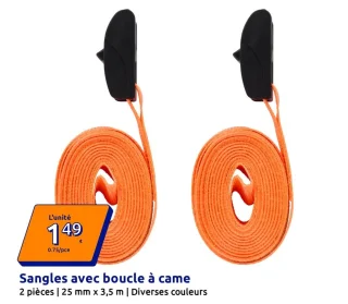 Sangles avec boucle à came