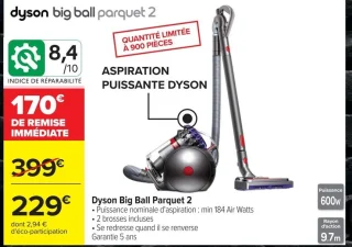 Dyson Big Ball Parquet 2