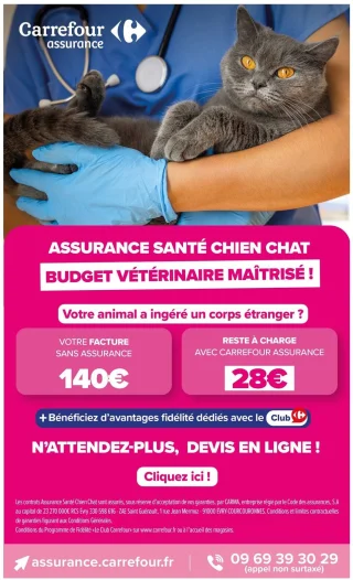 Assurance Santé Chien Chat Carrefour Assurance