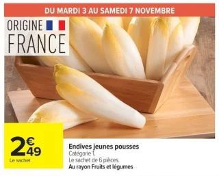 Endives jeunes pousses