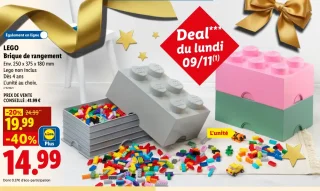 LEGO Brique de rangement