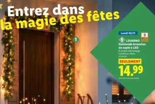 Guirlande branches de sapin à LED LIVARNO