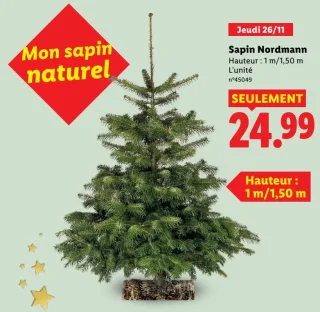 Sapin Nordmann naturel