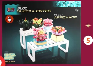 Bricks display fleurs à construire - Succulentes