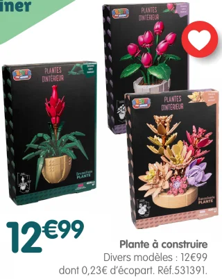 Plante à construire - Plantes d'intérieur