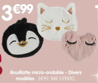 Bouillotte micro-ondable